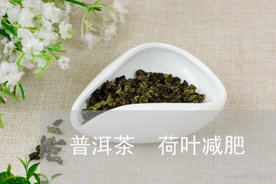 普洱茶 荷叶减肥/2023041119614